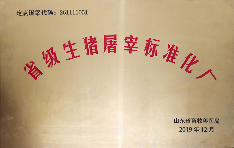 資質(zhì)榮譽(yù)